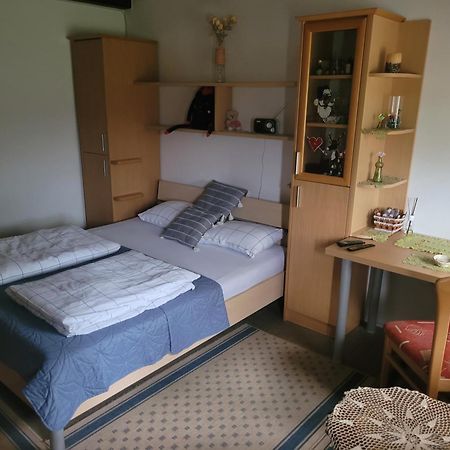 Apartament Apartma Vida Videm pri Ptuju Zewnętrze zdjęcie