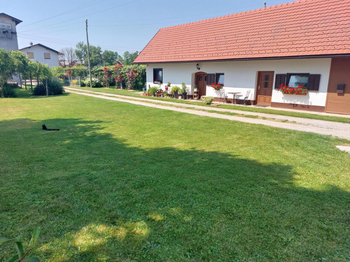 Apartament Apartma Vida Videm pri Ptuju Zewnętrze zdjęcie